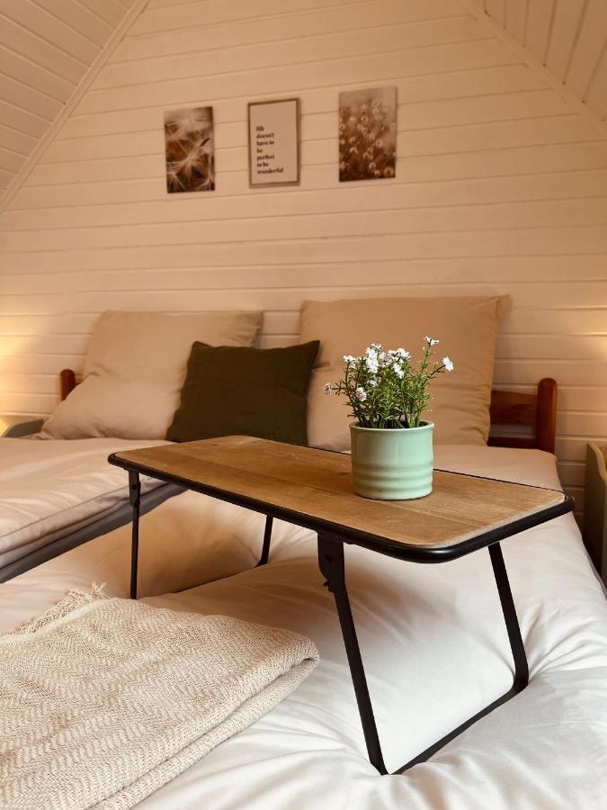 Frieda - Ferienwohnung Mit Deichblick Фридрихског Экстерьер фото